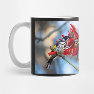 New Holland Honeyeater, Maleny, Queensland Mug